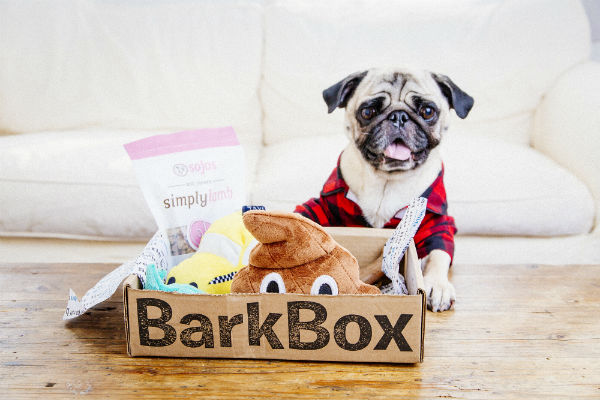 BarkBox shows how the best subscription boxes have an obvious customer base, like people with dogs.