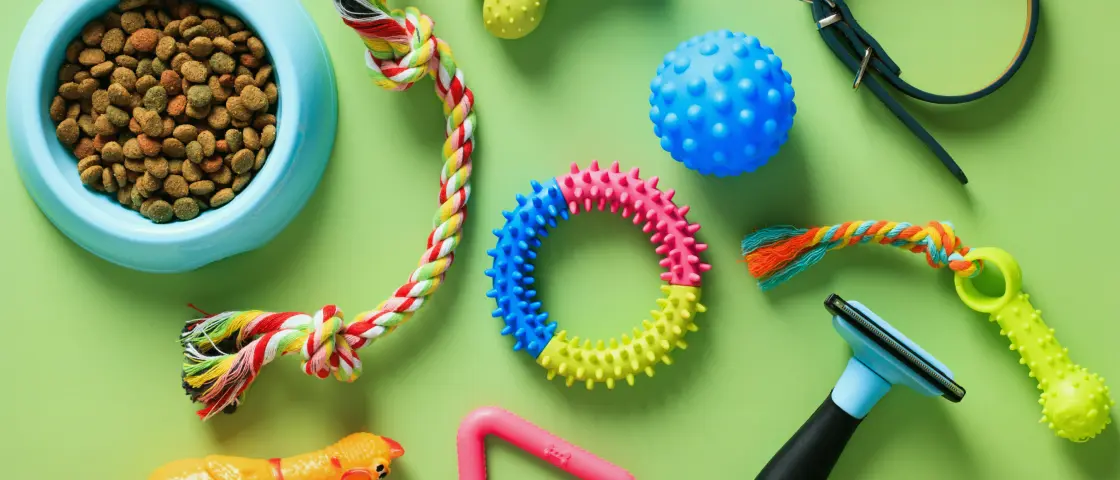A cheery set of vibrant dog toys, smart blue kibble bowl, black collar, and brush on green—pet bliss with ShipMonk.com. via ShipMonk.com